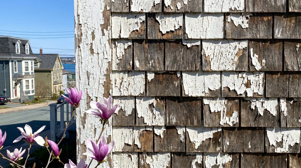 Peeling paint on a Halifax peninsula home being scraped back to bare wood for proper prep